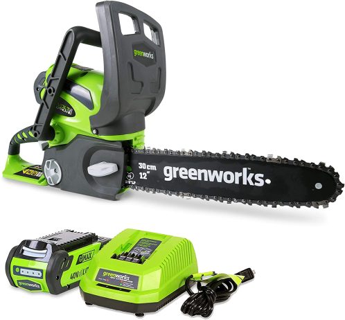 Greenworks Cordless Electric Chainsaw Model 20262 with battery and charger