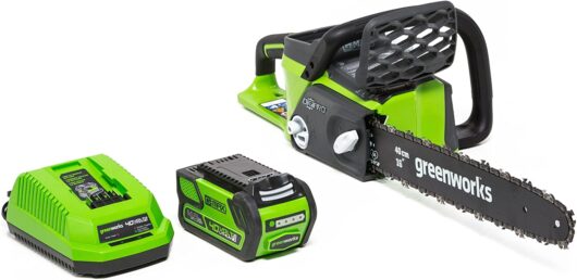 Greenworks Cordless Electric Chainsaw Model 20312d with batteries and charger
